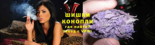ГАЛЛЮЦИНОГЕННЫЕ ГРИБЫ Осташков