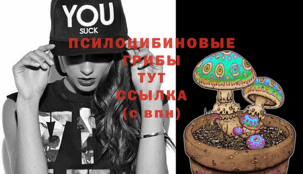 молекула духа Нязепетровск