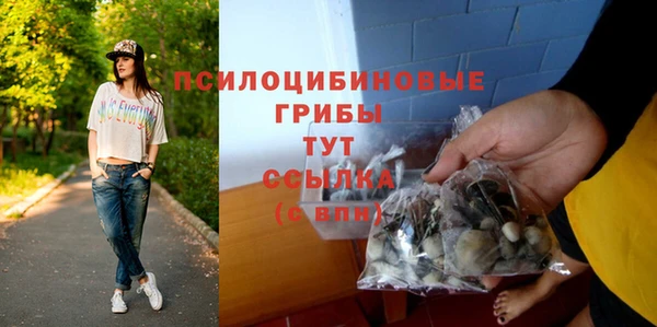 ГАЛЛЮЦИНОГЕННЫЕ ГРИБЫ Новокубанск