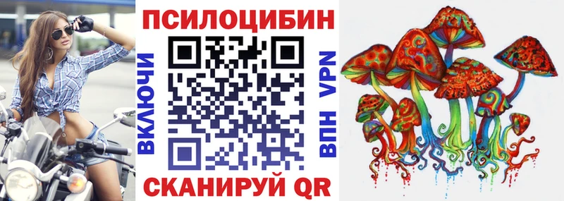 купить наркотик  Навашино  Галлюциногенные грибы Psilocybine cubensis 